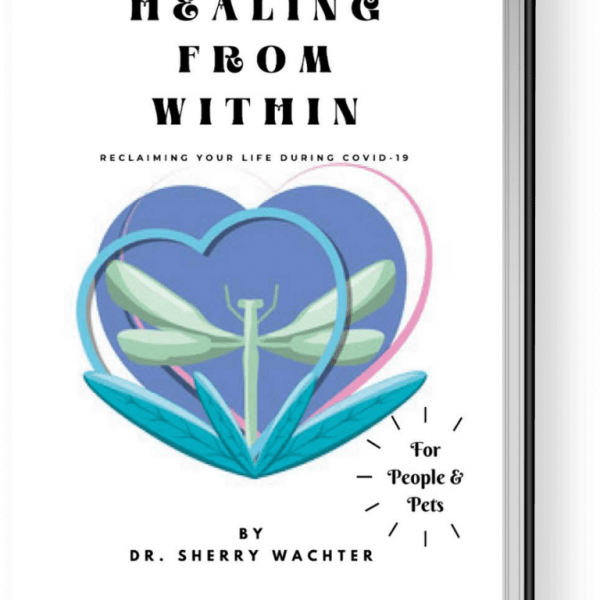 Holistic Healing Within Ebook