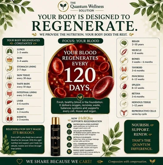 your body is constantly renewing itself - photorealistic human surrounded by luminous, renewing cells and DNA in a bright, modern lab